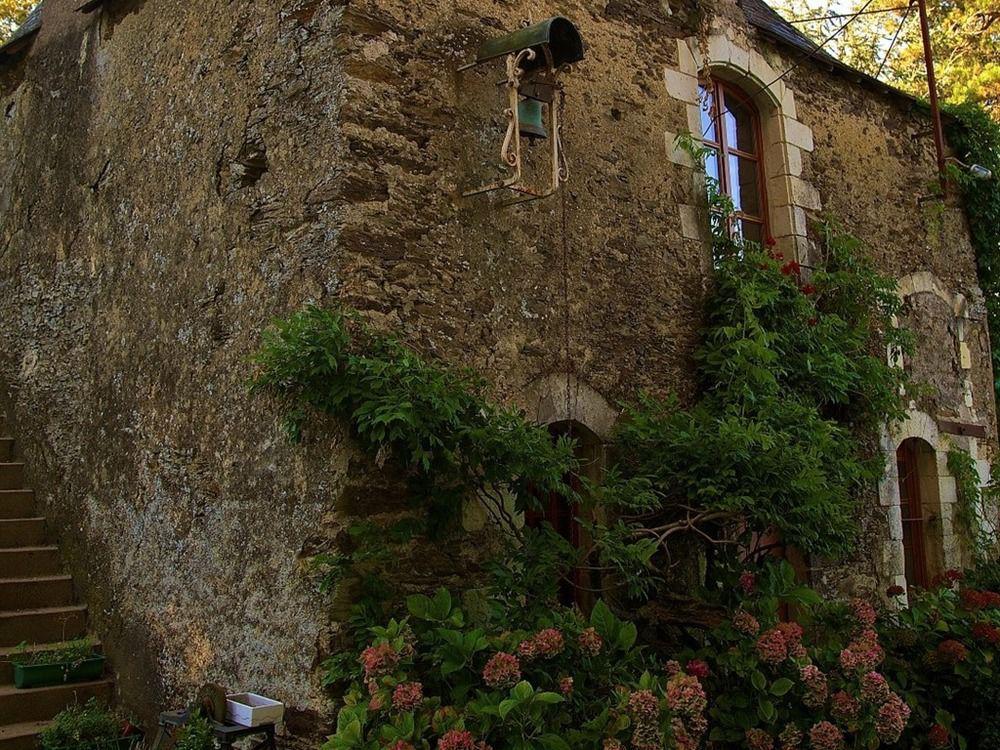 Bed and Breakfast Château Le Breil Cholet Exterior foto